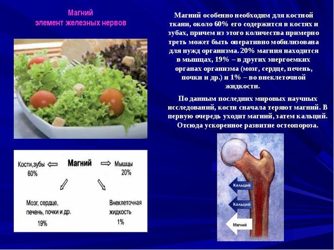 Действие магнезии на организм. Магний в организме человека. Биологическая роль магния в организме человека. Магний и его функции в организме человека. Функции магния в организме человека.