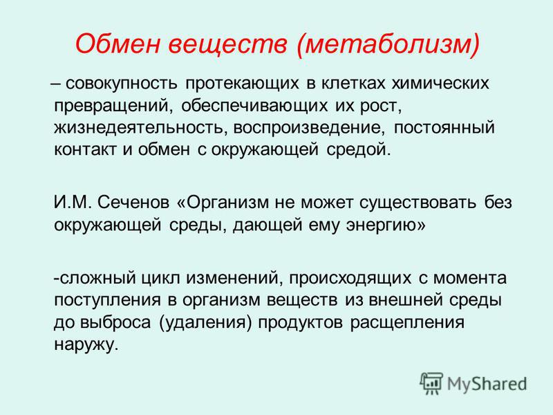 Интенсивность обмена веществ. Обмен веществ метаболизм. Метаболизм клетки. Обмен веществ определение. Обмен веществ делится на.