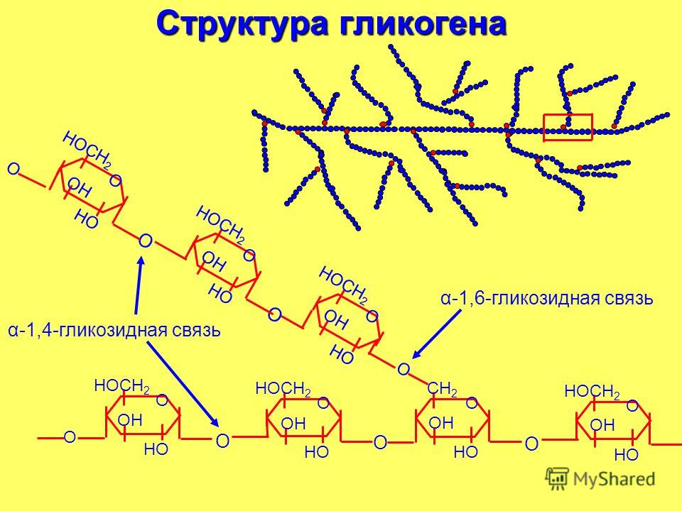 Строение гликогена биохимия. Химическая структура гликогена. Гликоген строение.
