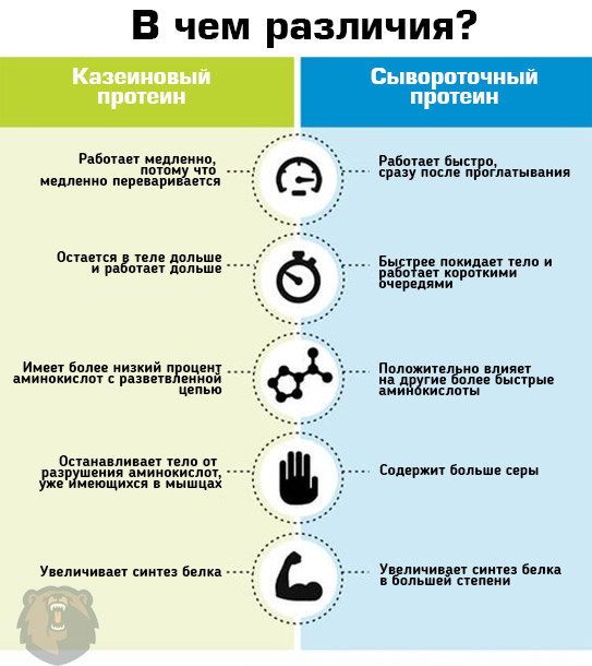 Отличия казеина от сывороточного протеина