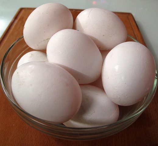 Фото на тему «Почему нельзя есть много яиц?»
