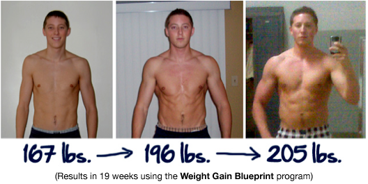 weight gain program jeff masterson