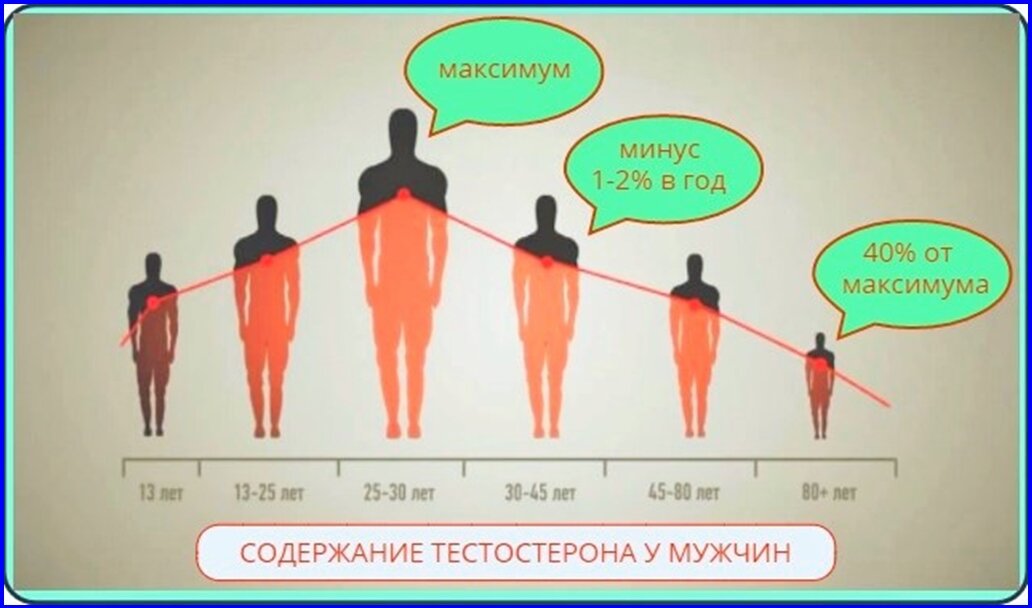 Как увеличить максимум. Снижение уровня тестостерона с возрастом. Тестостерон у мужчин с возрастом. Тестостерон и Возраст. Уровень тестостерона у мужчин по годам.