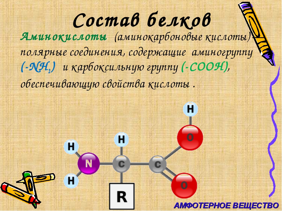 3 белки состоят из. Каков состав белков. Белки химия химический состав. Состав и строение белков 10 класс биология. Состав белка.