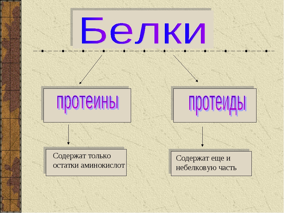 Белки виды белков. Белки биология. Белки презентация 10 класс химия. Структура белка химия 9 класс. Белок биология 9 класс.