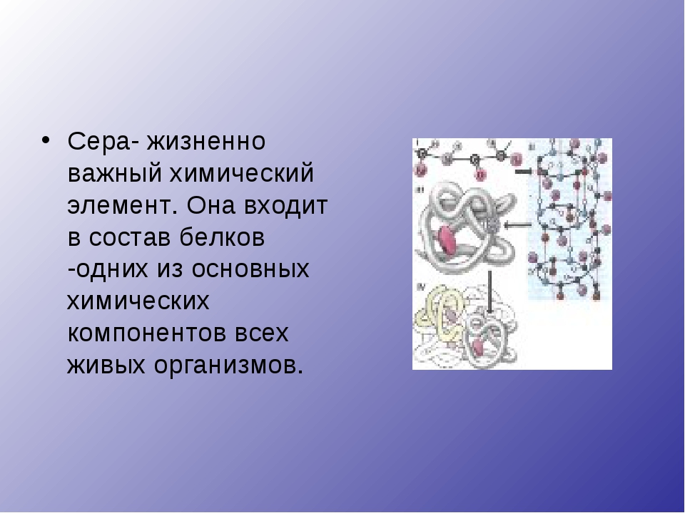 Элемент входит в состав. Химические элементы входящие в состав белков. Сера входит в состав белков. Жизненно важные химические элементы. Химические элементы из которых состоит белок.