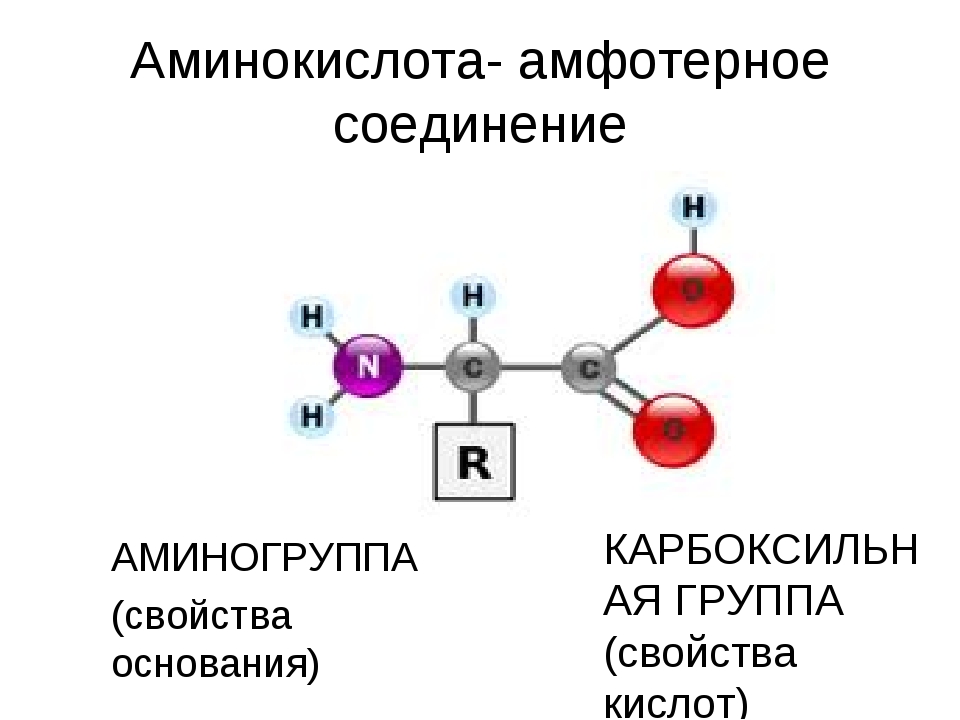 Строение и свойства аминокислот. Общая схема строения аминокислоты. Строение аминокислот. Общая структура аминокислот. Химическое строение аминокислот.