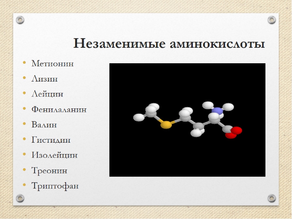 Происхождение аминокислот. Аминокислоты. Незаменимые аминокислоты. Аминокислоты презентация. Заменимые аминокислоты.