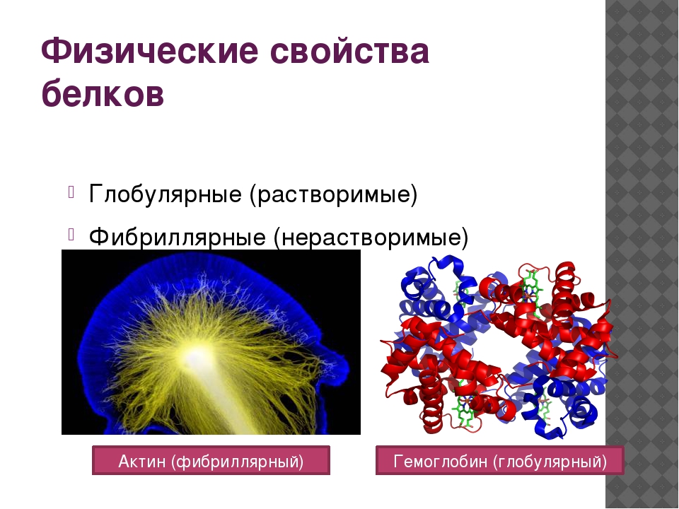 Нерастворимые белки