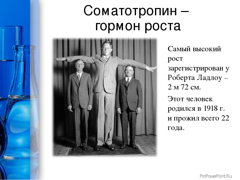 Соматотропин. Гормон роста. Человеческий гормон роста. Соматотропин гормон. Гормон роста презентация.