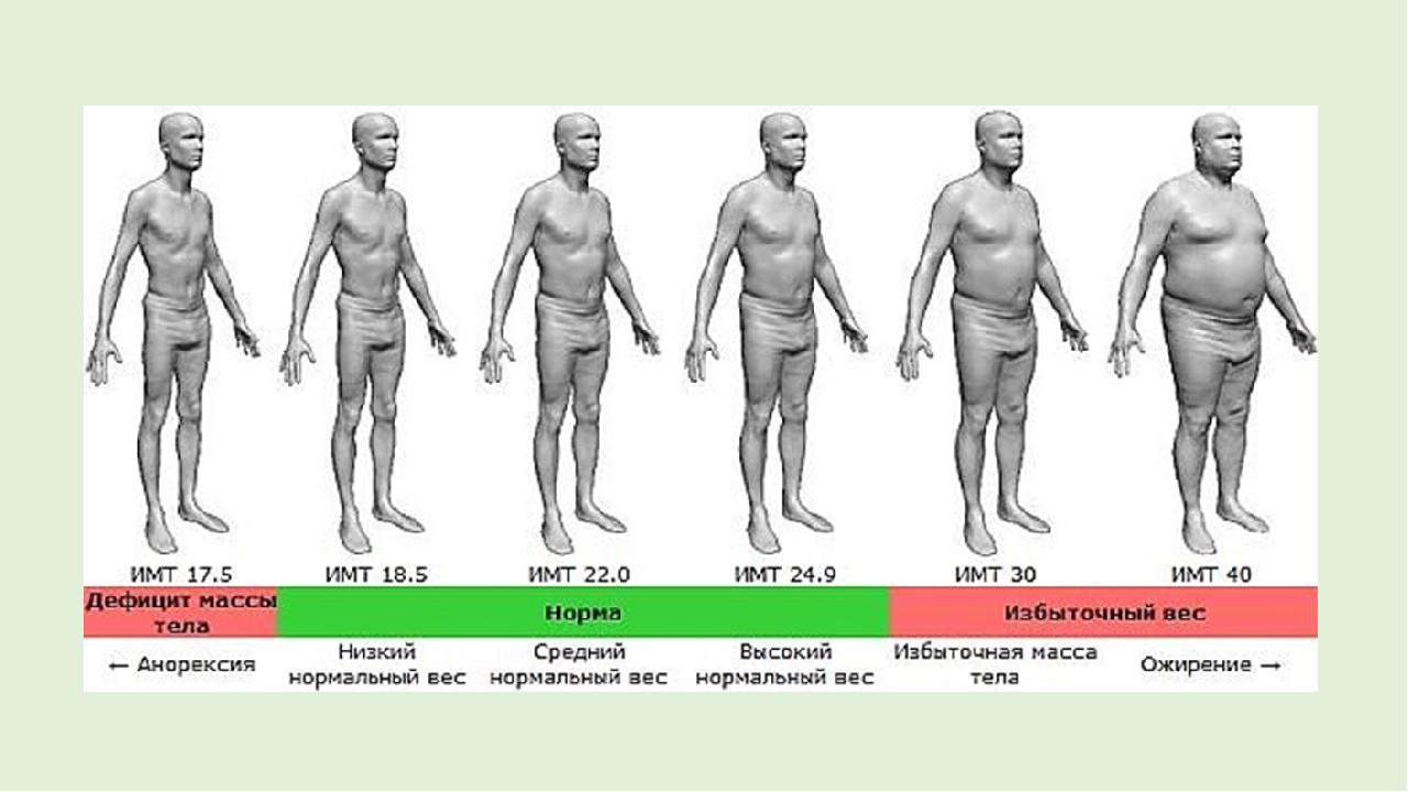 Заболевание низкий вес. Индекс массы тела. Индекс массы тела (ИМТ). Ожирение. Талия у мужчин норма.