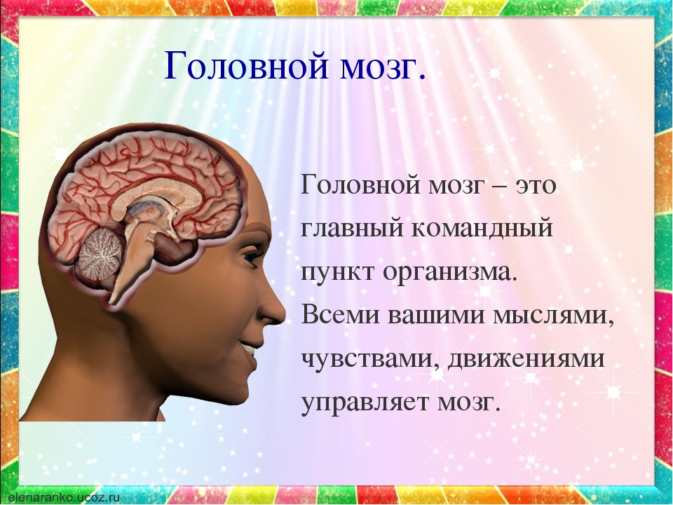 Мозг главный орган. Головной мозг презентация. Мозг тема для презентации. Мозг и информация. Сообщение про мозг человека.