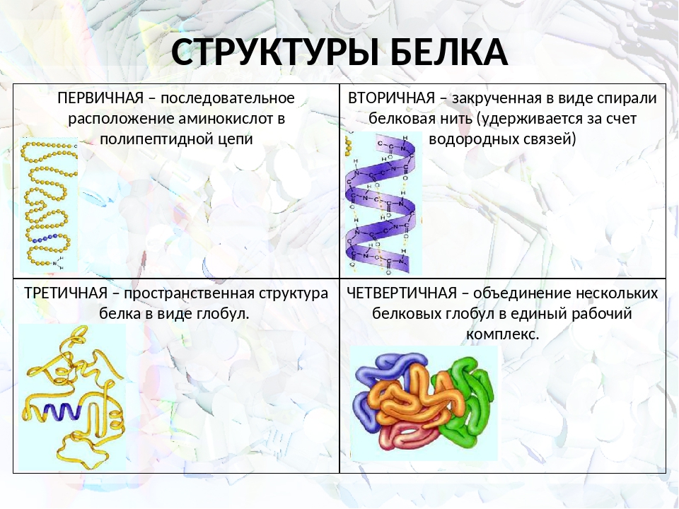 4 организации белка. Структура белка биология 10 класс. Структура белков биология 10 класс. Третичная структура белка химия 10 класс. Структура белка 4 структуры.