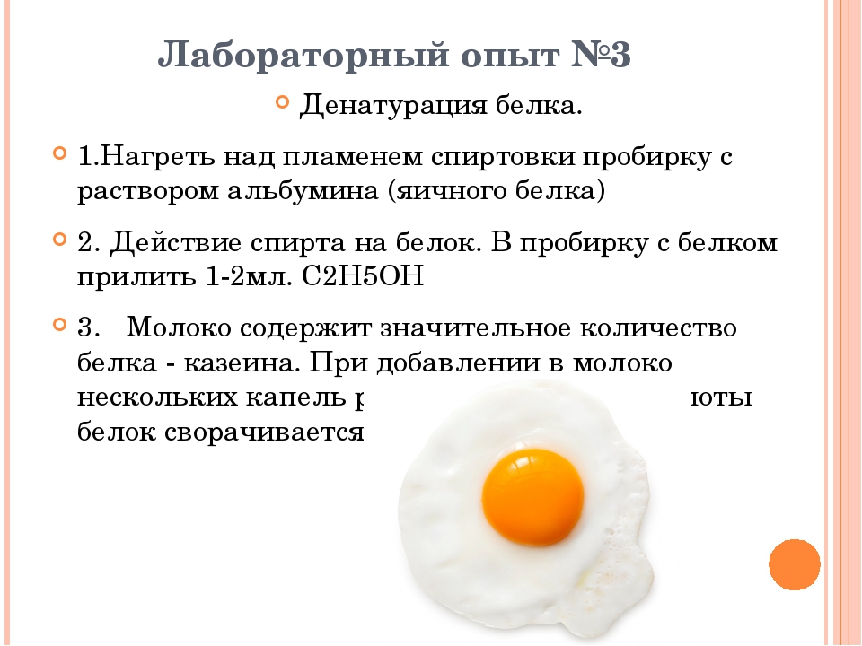 Какие функции выполняет яйцо. Белок яичный денатурация. Денатурация куриного белка. Опыты с растворами белков. Денатурация опыт на яйцах.