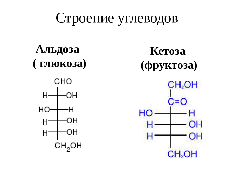 Углеводы химия 10 класс конспект. Структура молекулы углевода. Строение углеводов. Строение углеводов химия. Углеводы строение молекулы.