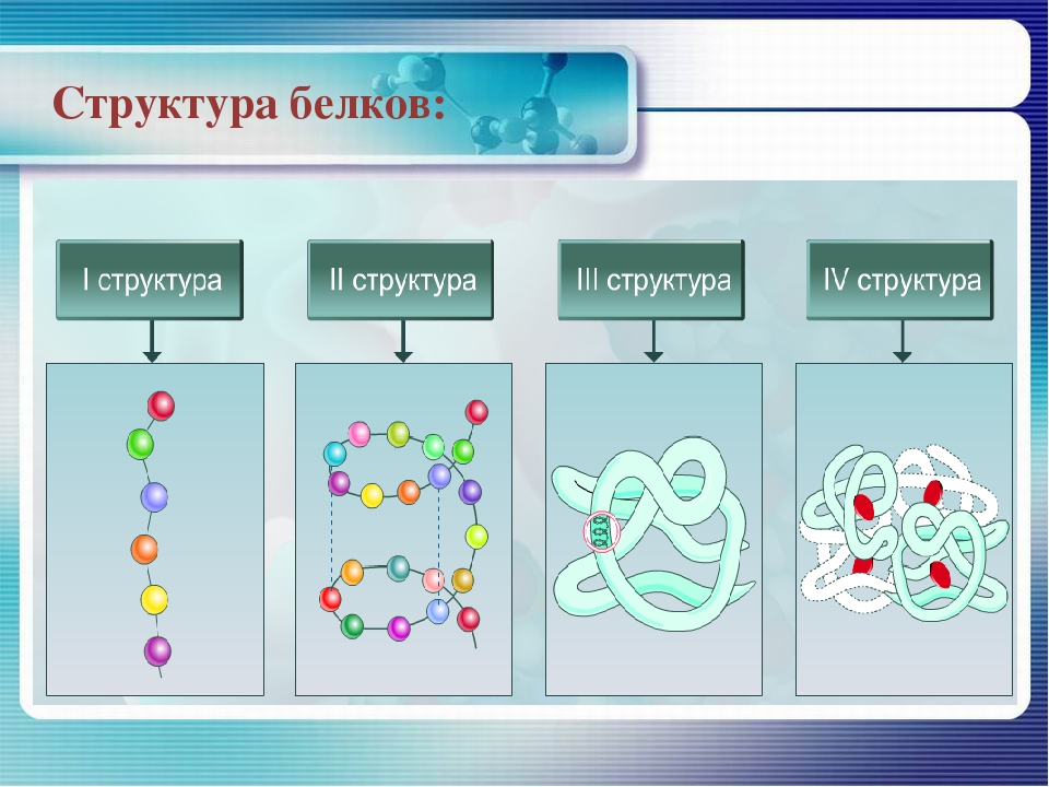 Белки класс соединений. Структура белка биология 10 класс. Структура белков биология 10 класс. Структуры белка по химии. Строение белков химия.