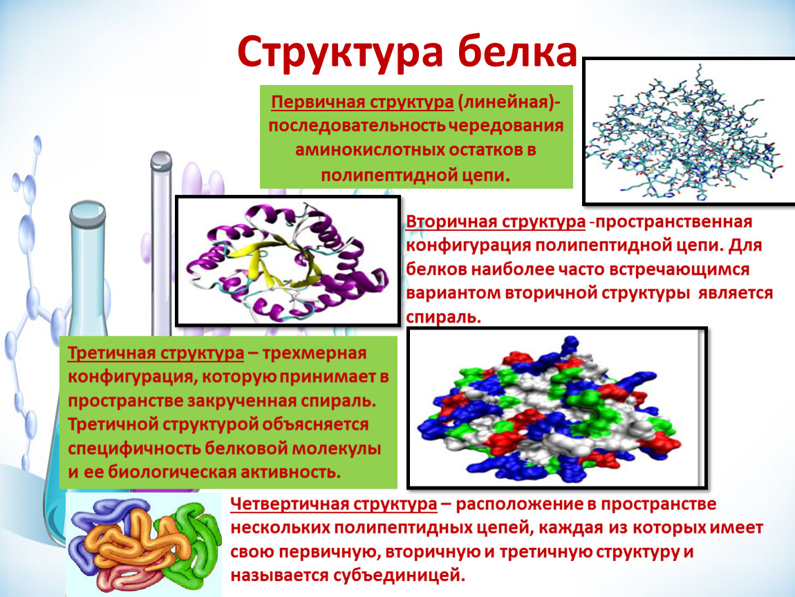 Особенности внутреннего строения белки. Белки строение структура. Белки их строение химия. Структура белка химия. Белки состав структура и функции.