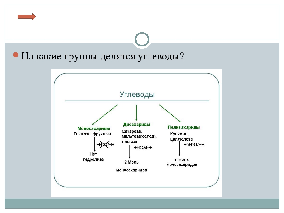 Разделитесь на три группы. Деление углеводов. Какие группы углеводов. Углеводы делятся на группы. Три группы углеводов.