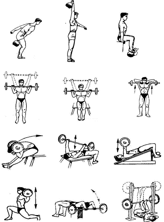 Комплекс упражнений для мышц с гантелями