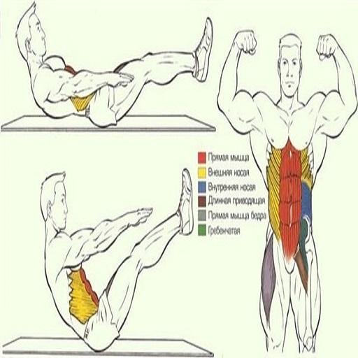 Как накачать пресс. Способы накачивания пресса. Как быстро накачать пресс и мышцы. Способы быстро накачать пресс.