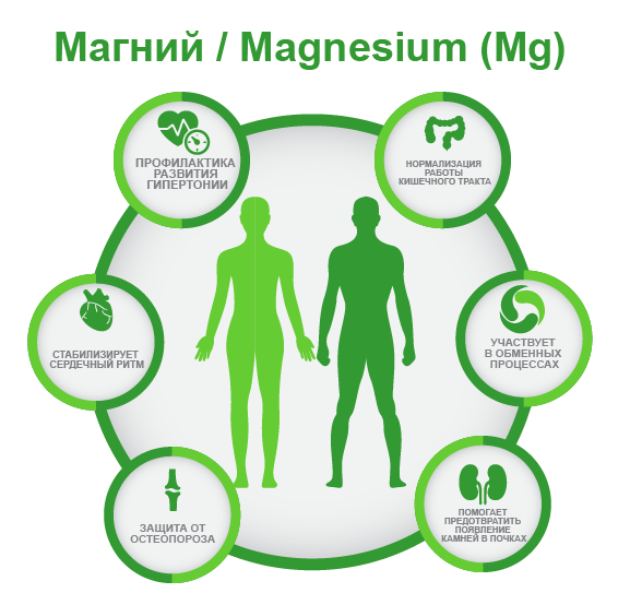 Магний Magnesium (Mg) ифографика