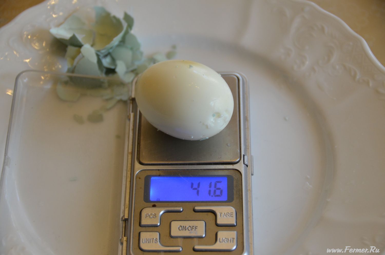 Сколько весит яйцо куриное без скорлупы вареное. Вес 1 куриного яйца вареного. Яйцо куриное вес 1 шт без скорлупы. Вес 1 вареного яйца. Яйцо вареное вес 1 шт без скорлупы.
